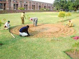 A flower bed being developed in the Sector 46 green belt by the Horticulture Wing of the municipal corporation