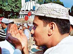 A picture for peace