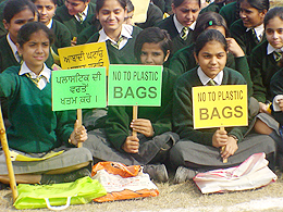 Students participating in an anti-pollution rally are perhaps tutoring what they themselves do not follow. While carrying the placards reading, No to plastic bags, they are themselves carrying the bags 