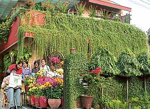 The Juneja's Green House in Phase VII, Mohali.