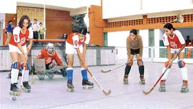 Players practise at the skating coaching centre at Shishu Niketan Senior Secondary School, Sector 22, Chandigarh