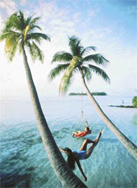 The festive season is not the best time to be in Goa