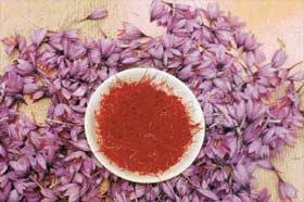 Saffron, the spice, is the stigma or stamen of the plant’s purple flowers
