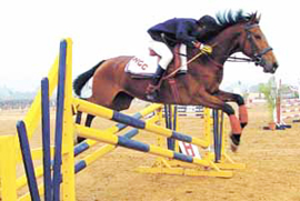An NCC cadet at a horseshow in the Capital on Sunday.