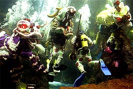 Indonesian divers perform Lion Dance to celebrate the Lunar New Year at Jakarta's Sea World 