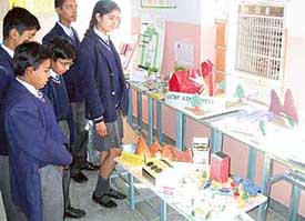 Students appreciate a model at an exhibition organised on the concluding day of Health Week observed by Stepping Stones School 