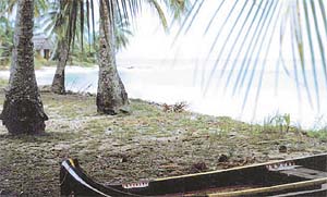 Snake Boat: Preserving Keralas spirit