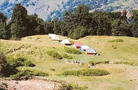Camping on green alpine meadows is a wonderful experience