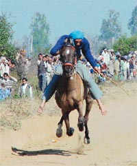 A villager takes part in a horse race in the rural sports festival at Ottalan village, near Samrala
