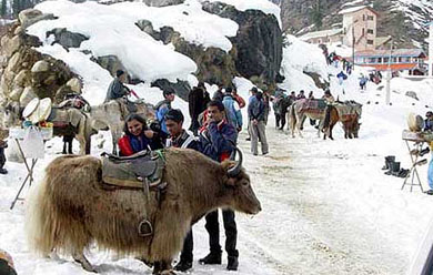 Tourists enjoy the snow on the Solang-Nullah ski slope, 15 km from Manali