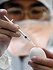A researcher demonstrates a detection test for avian influenza at a laboratory in Tsukuba city