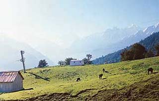 An alpine meadow with a hut in the foreground