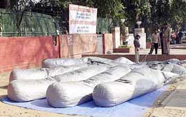 The  specially made air balloon 'Panja'  symbol of Congress Party is grounded