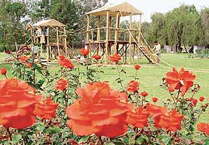 Strawberry Fields has been declared the best-maintained school campus at the Rose Festival