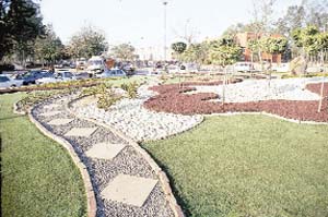 Give your lawn a fresh look as the days become warmer