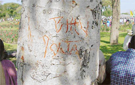 The trees at Zakir Rose Garden are falling prey to vandalism