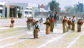 Students of KG take part in a sack race during the 3rd annual sports day of BVM Shishu Vatika, Cemetery Road, Ludhiana