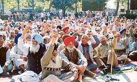 Pensioners of various organisations hold a state-level protest rally  in front of the  mini-secretariat in Ludhiana on Wednesday.