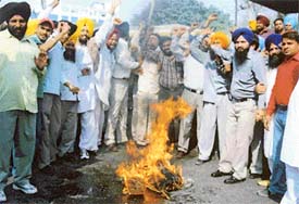 SAD Youth Wing activists burn the effigy of Chief Minister Amarinder Singh 