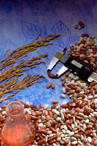 Grading ensures that in a given lot the produce is of uniform quality and set specifications.