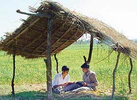 Two students of Bhud village in Panchkula district prepare for their examination in the fields while guarding crops against wild animals