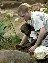 Britain's Prince Harry plants a fruit tree