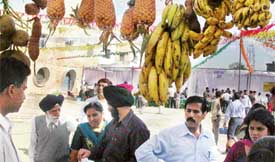 Punjabis at a Malayali food festival in Mohali on Sunday
