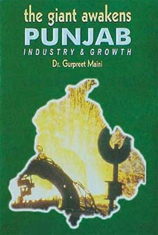 The Giant Awakens: Punjab Industry and Growth