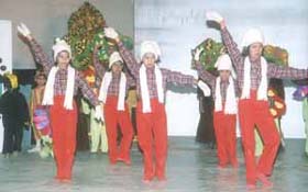 Children of DPS, Ibtida Shiksha Kendra, staging a play on their annual day
