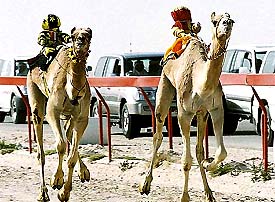Remote-controlled robot camel jockeys are tried in Doha