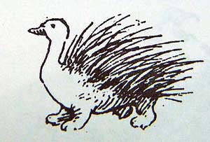 A duck and a porcupine, no one knows how, (Contrary to grammar) are a duckupine now