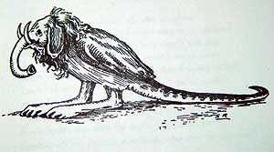 A strange-looking beast is the wild-eyed wonster, Nag-nag all day youll hear from the monster