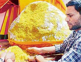 A 5.5 quintal ladoo being distributed among devotees at Hanuman Mandir