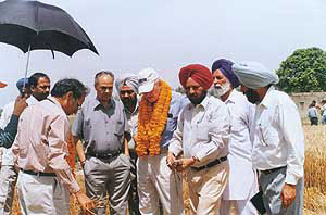 Dr David C. Mulford, US Ambassador to India, with agriculture experts visit Jalbehra village in Fatehgarh Sahib district on Thursday. 