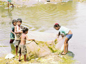 Street urchins fish out valuables from the bed of Sidwan Canal