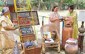 Volunteers of Arpan put up an exhibition at Lajpat Rai Bhawan, Sector 15