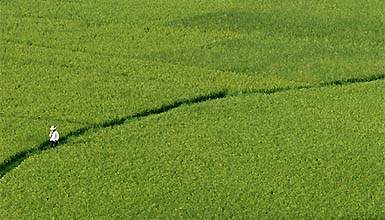A farmer walks through his field on the outskirts of the coastal town of Boao 