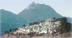 Hill stations remain a hot favourite with domestic tourists