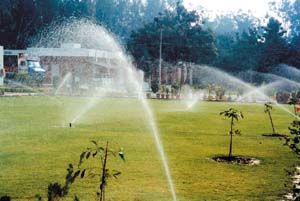The lush lawns of the PCPL factory in Dera Bassi