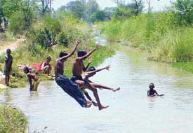 Children take a dip in a minor canal near Pakhowal in Ludhiana