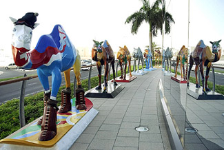 Painted camels are displayed at Jumeirah Beach hotel