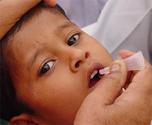 A child being administered Polio drops in Ambala on Sunday