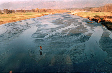 A view of the Suketi khad filled with silt dumped by the BBMB.