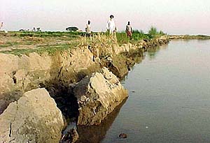 Soil erosion caused by the Beas near Ahli Kalan village in Kapurthala.