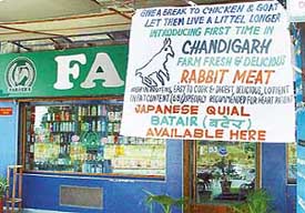 A banner on the sale of rabbit meat, displayed by one of the supermarket owners in the city. The Chandigarh Municipal Corporation and the UT Administration are yet to frame any bye-laws on the sale of the meat.