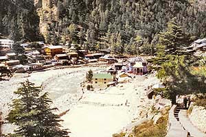 Gangotri  town is dotted with deodar and pine trees.