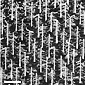 An array of semiconducting nanotrees could function as a solar cell or light-emitting diode.