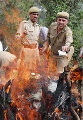 The Himachal Pradesh police burn 46 kg of narcotics material worth Rs 75 lakh near Shimla on Friday.