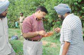 DSP Ravcharan Singh Brar and a forensic expert examine an object found at the murder site on the PAU campus
