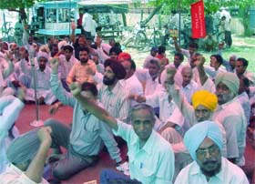 Activists of the Communist Party of India stage a dharna asking the USA and its allies to quit Iraq, in Ludhiana